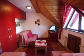 Studio Apartman Aleksandar Zlatibor